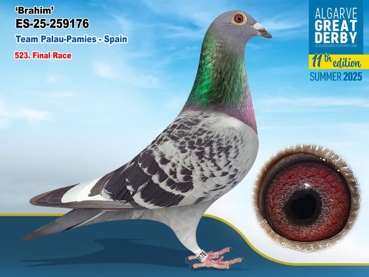 ESP-259176-2025- HEMBRA - PALAU