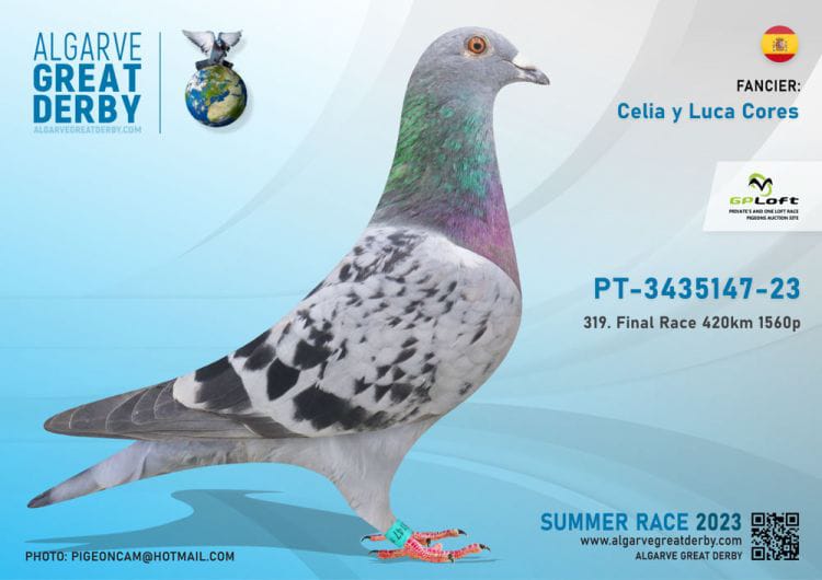 PT-3435147-23 - HEMBRA- CELIA Y LUCAS CORES