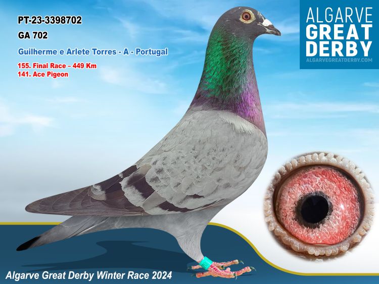 PT-3398702-2023 -MACHO- SILVA TORRES