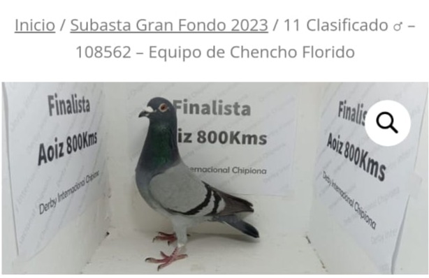 ESP-108562-2022 - MACHO- CHENCHO CHIPIONA