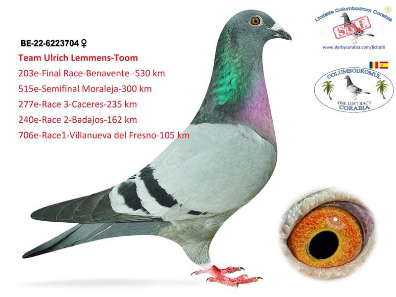 BE-6223704-2022- HEMBRA- ULRICH LEMMENS