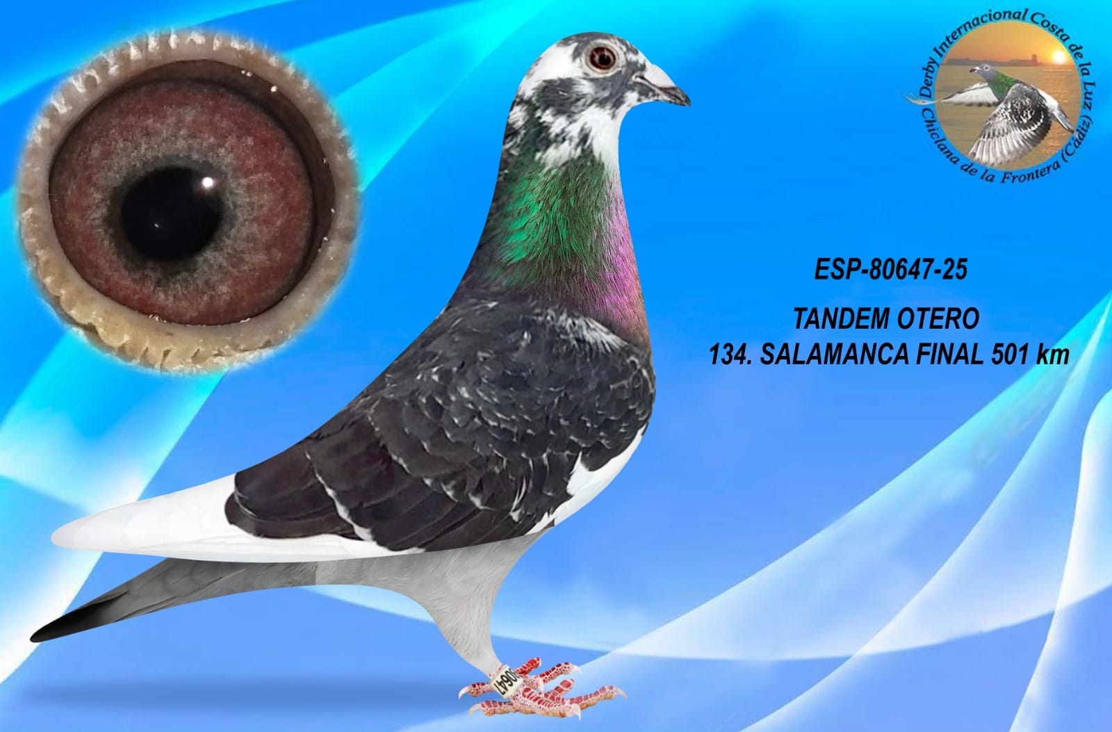 ESP-80647-2025 -MACHO-  TANDEM OTERO DERBY