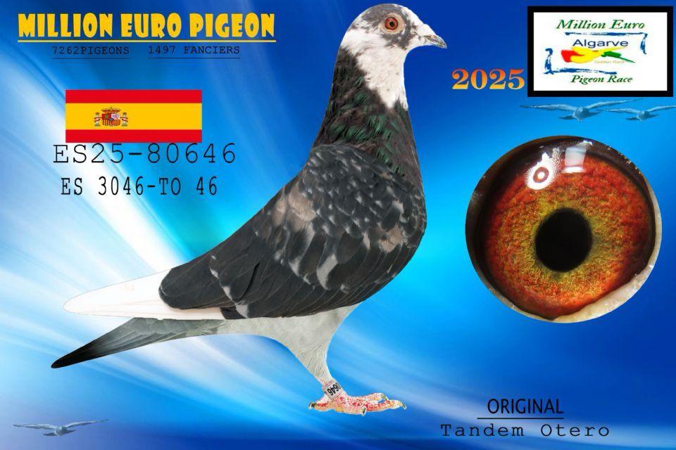 ESP-80646-2025 - MACHO- TANDEM OTERO