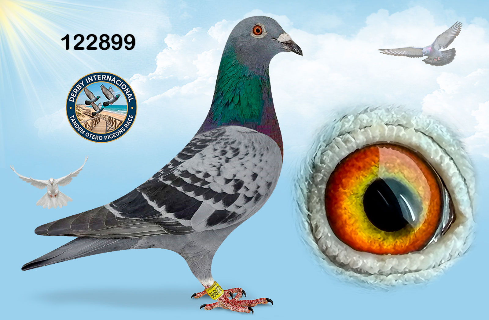 ESP-122899-2024- HEMBRA- HERMANA 5 DERBY DE ANDALUCIA.