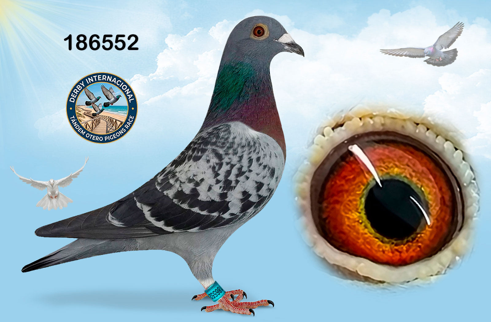 ESP-186552-2021- HEMBRA- TANDEM OTERO. 1 DE IRUN