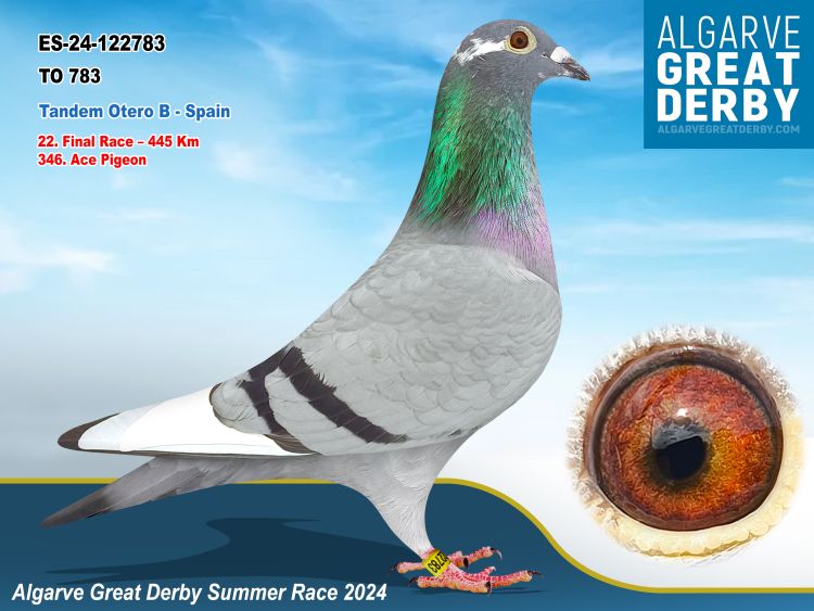 ESP-122783-2024- HEMBRA. 22º EN LA FINAL ALGARVE GREAT DERBY.