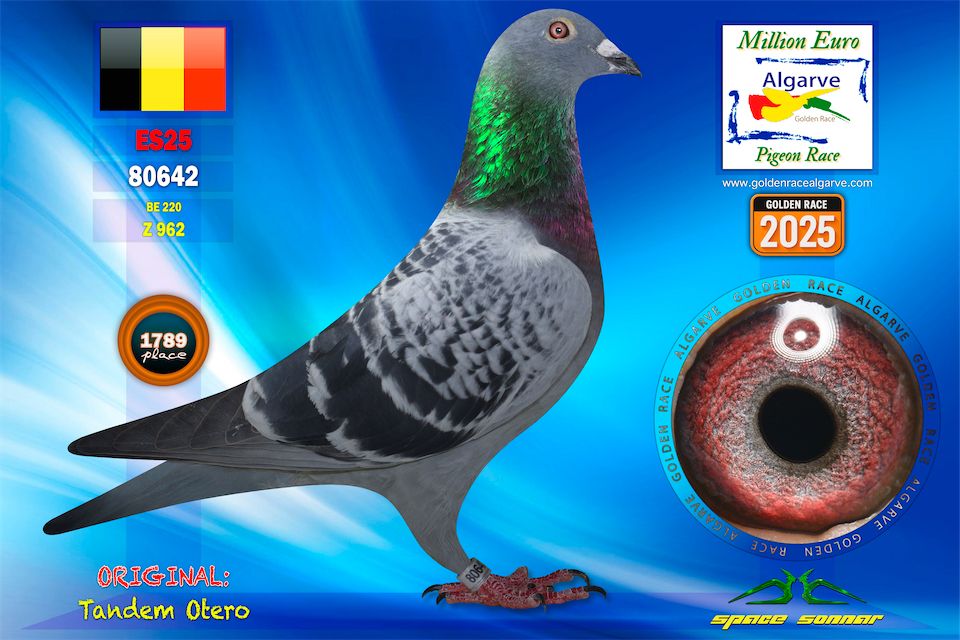 ESP-80642-2025- HEMBRA - TANDEM OTERO- 5 DERBY DE ANDALUCIA *RIDA