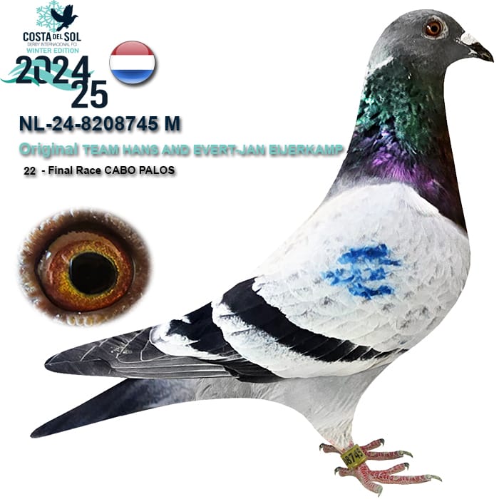 NL-24-8208745- MACHO- EIJERKAMP