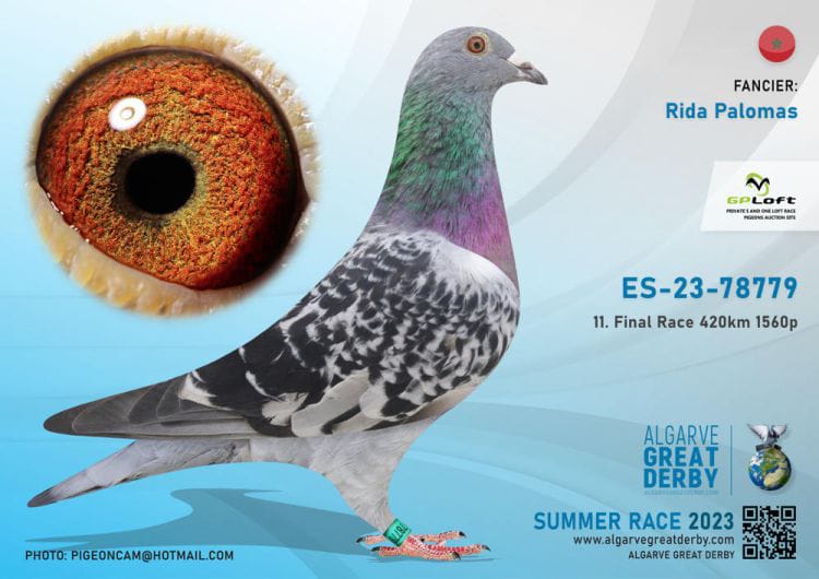 ESP-78779-2023 - HEMBRA- RIDA 11º FINAL AGD