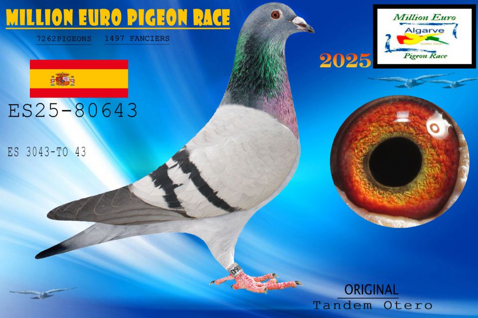 ESP-80643-2025 HEMBRA- TANDEM OTERO