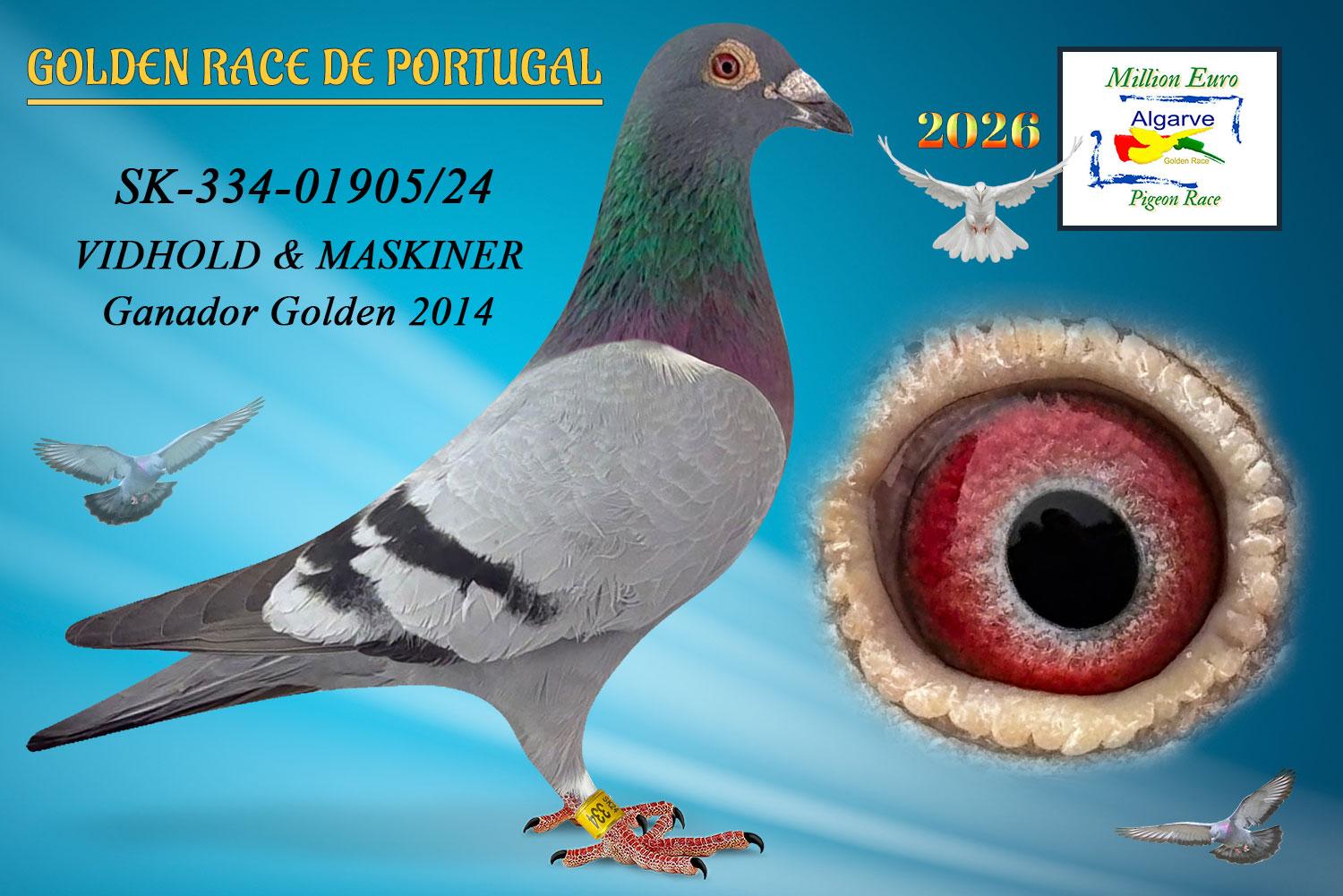 SK-334-01905/24- MACHO - VIDHILD GOLDEN RACE ALGARVE