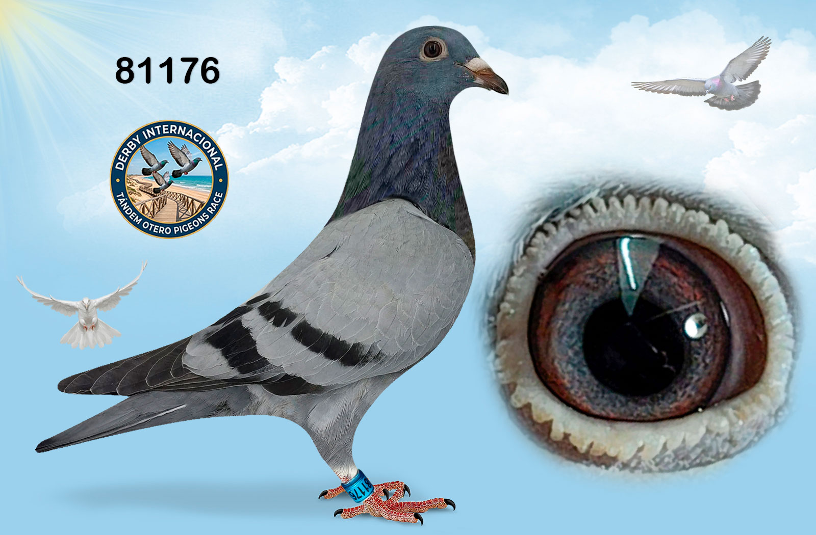 ESP`-81176-2026- AZUL- RATON GONZALO VALERO * GONZALO ANSORERA.