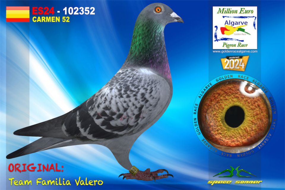 ESP-102352-2024 - MACHO - GONZALO VALERO TOP