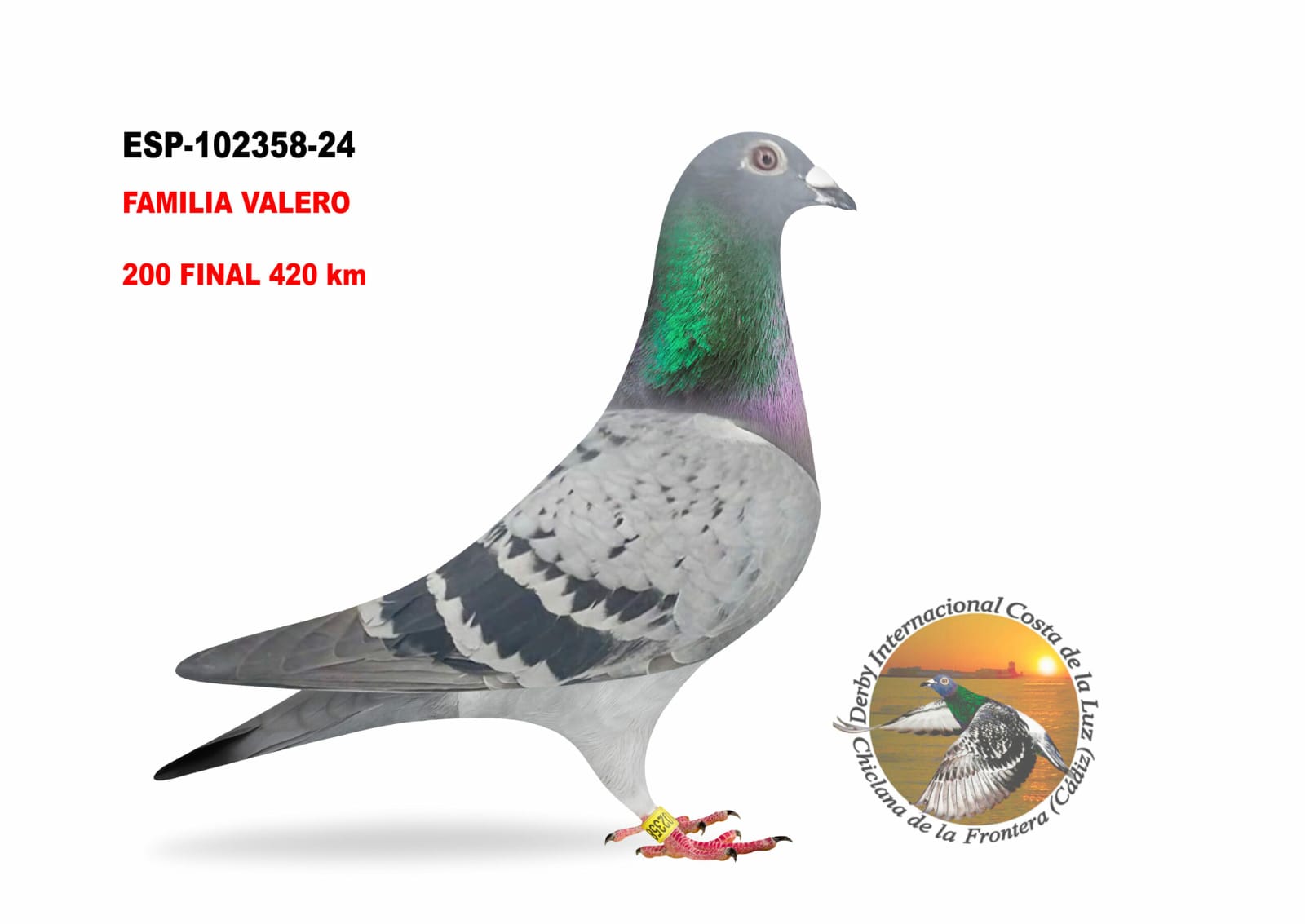 ESP - 102358 - 2024 - GRAN HEMBRA GONZALO VALERO