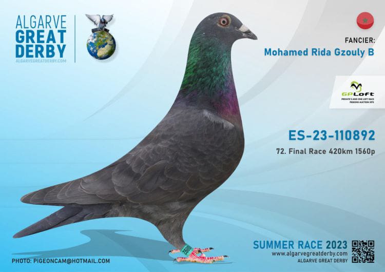 ESP-110892-2023- MACHO- RIDA 72 FINAL ALGARVE GREAT DERBY.