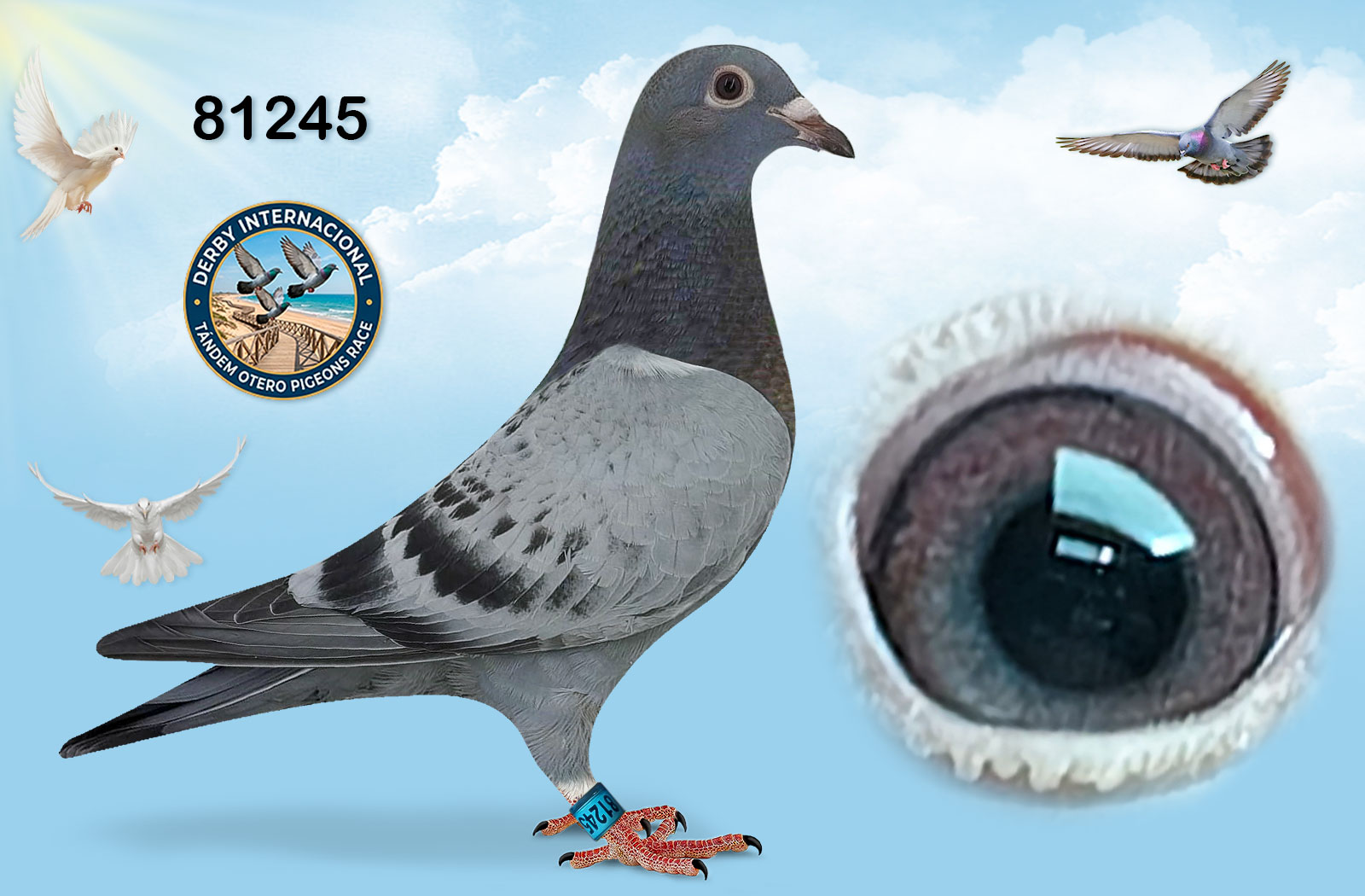 ESP-81245-2026- PICHON TANDEM OTERO - AS PALOMAS JOAQUIN BEARDO* AS PALOMA ALGARVE GREAT DERBY 2021.