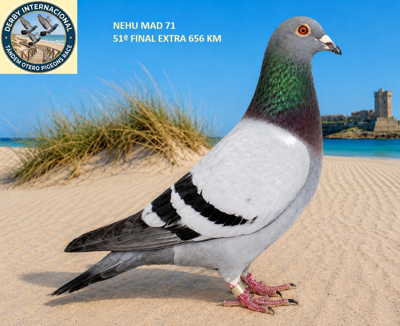NEHU-MAD-71-25 - R.I.C.H -DERBY DE CHIPIONA
