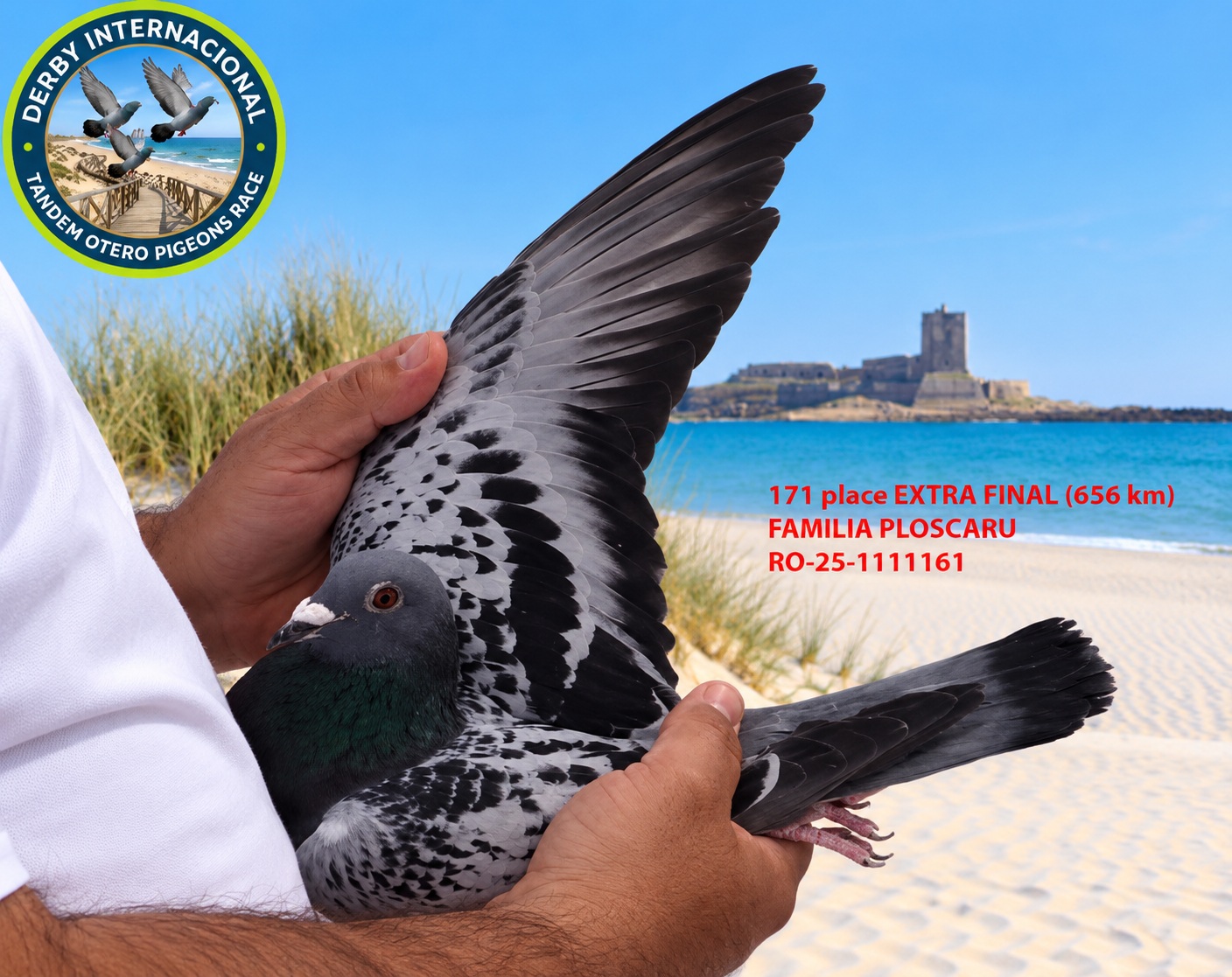 RO-25-1111161 - FAMILIA PLOSCARU- DERBY DE CHIPIONA