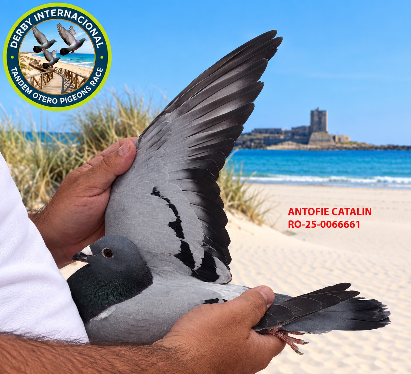 RO-25-0066661 - ANTOFIE CATALIN- DERBY DE CHIPIONA