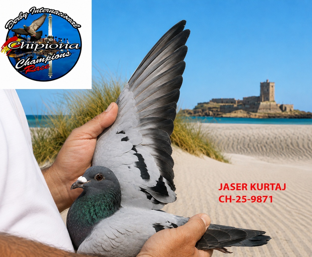 CH-25-9871 - JASER KURTAJ - DERBY DE CHIPIONA.