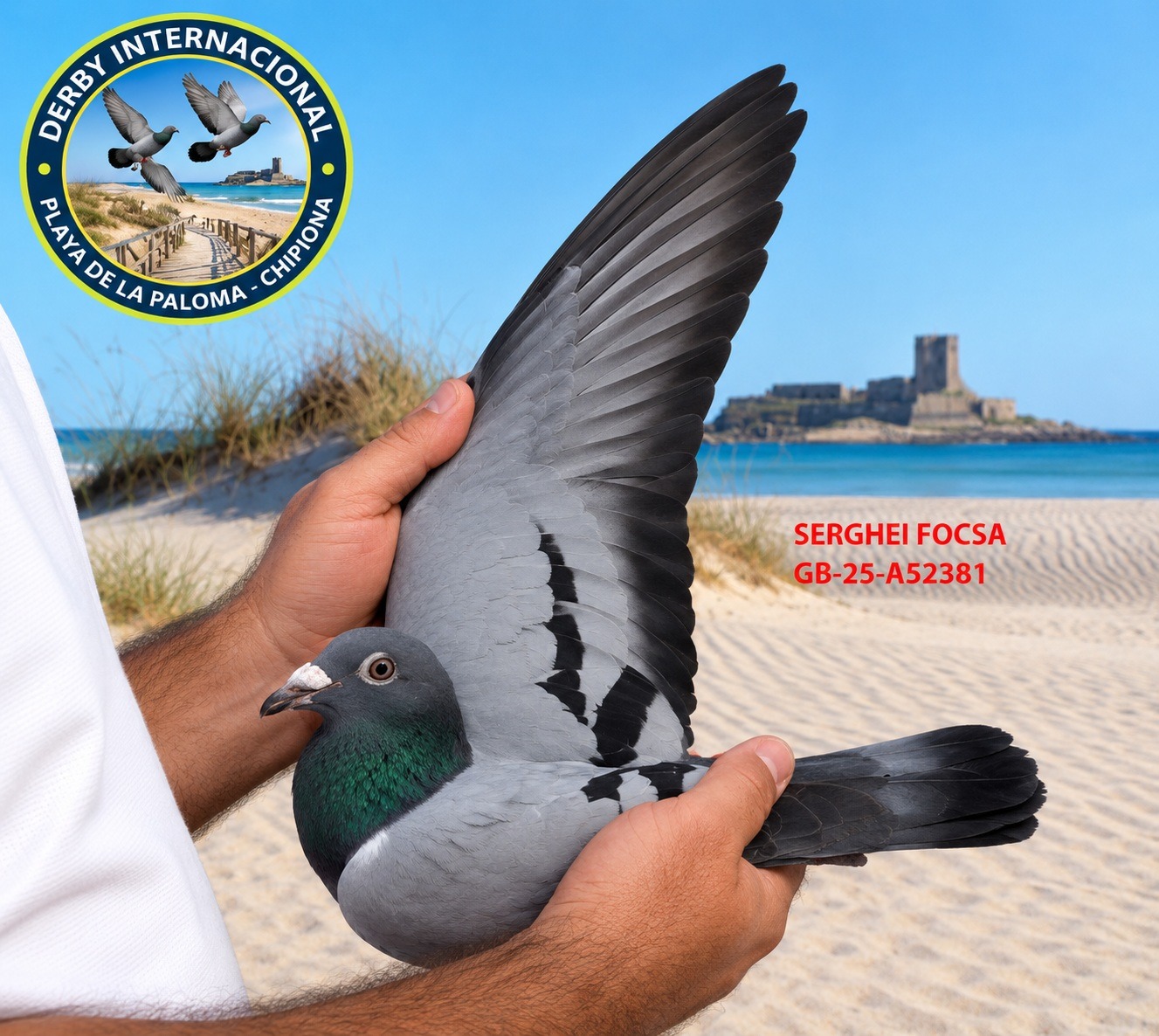 GB-25-A52381- SERGHEI FOCSA- DERBY DE CHIPIONA.