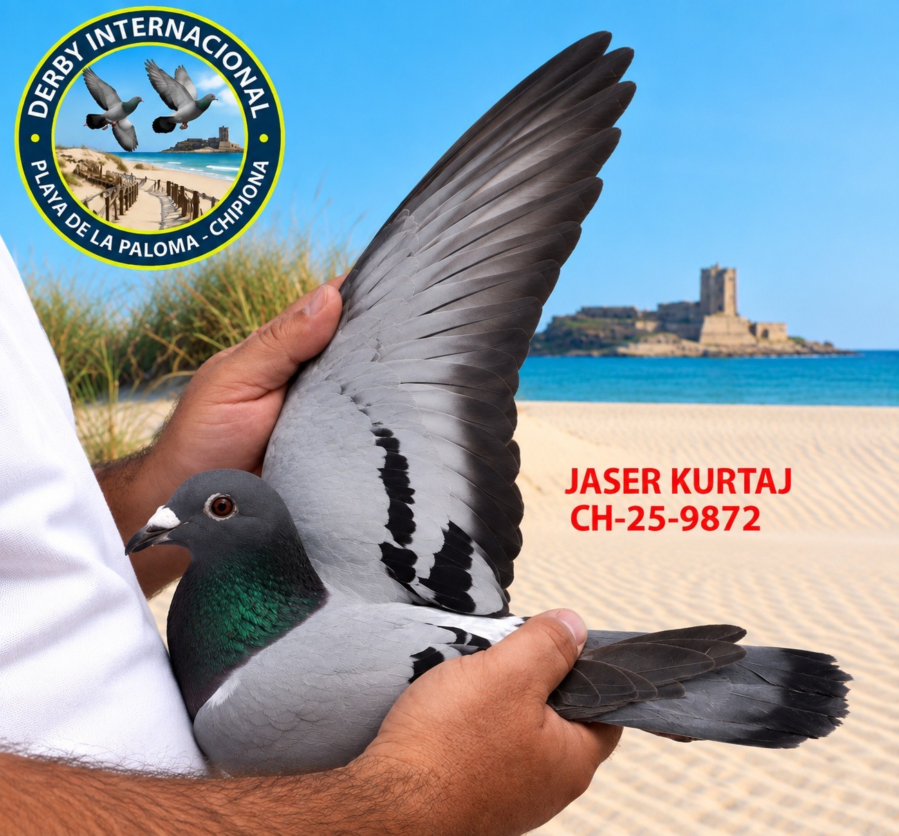 CH-25-9872 - JASER KURTAJ- DERBY DE CHIPIONA