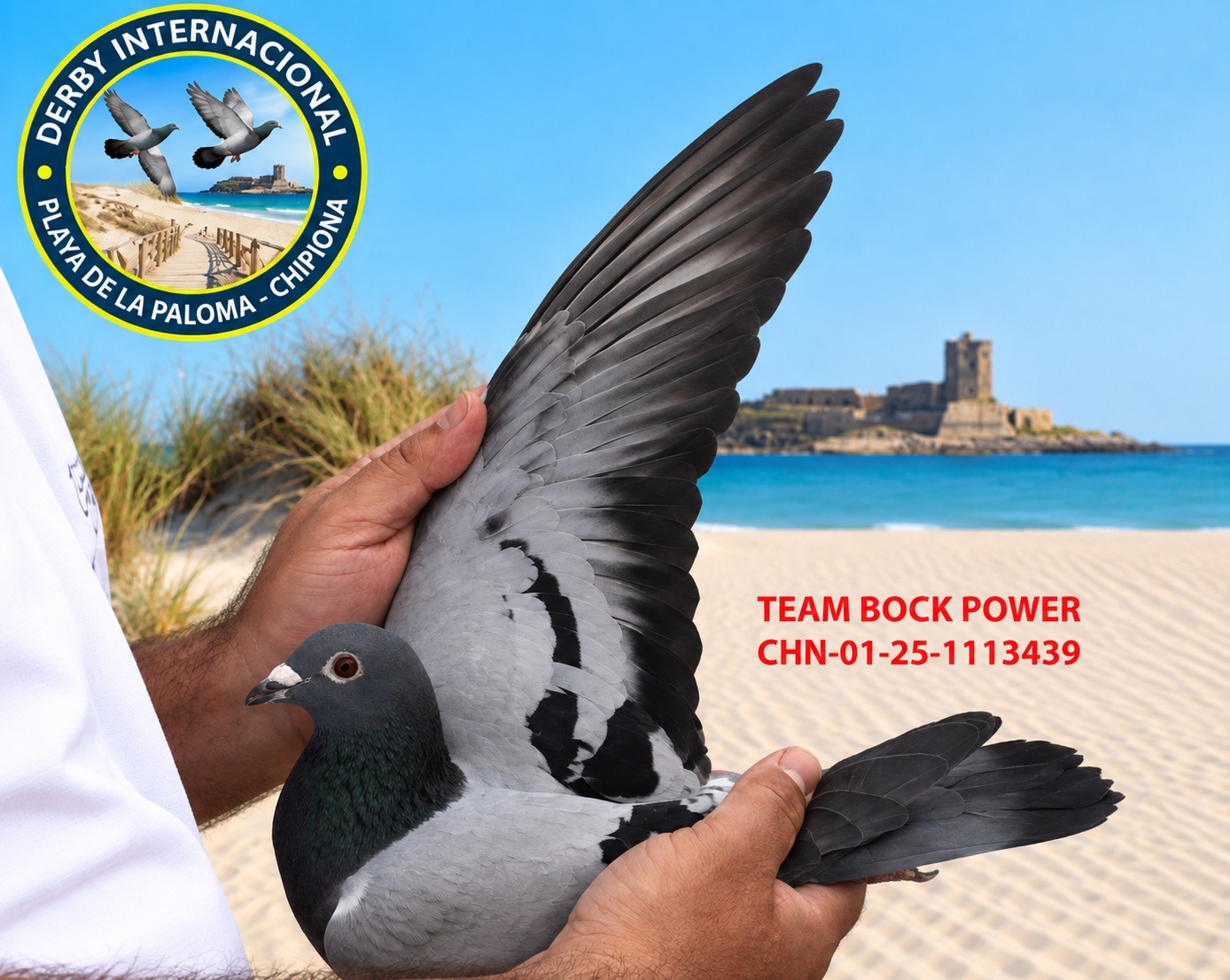 CHN-01-25-1113439 - TEAM BOCK POWER- DERBY DE CHIPIONA