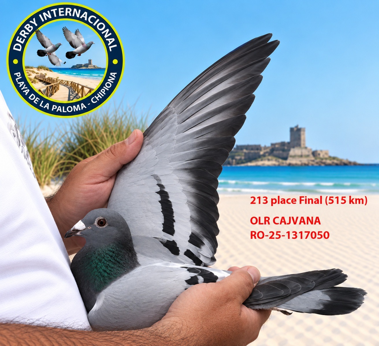 RO-25-1317050 - ORL CAJVANA- DERBY DE CHIPIONA