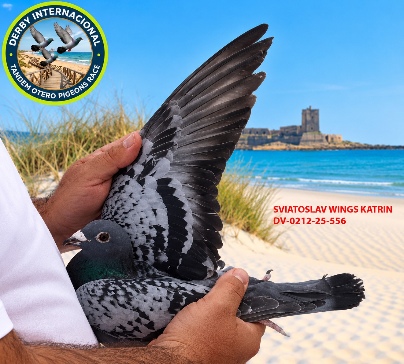DV-0212-25-556 - SVIATOSLAV WINGS KATRIN -DERBY DE CHIPIONA