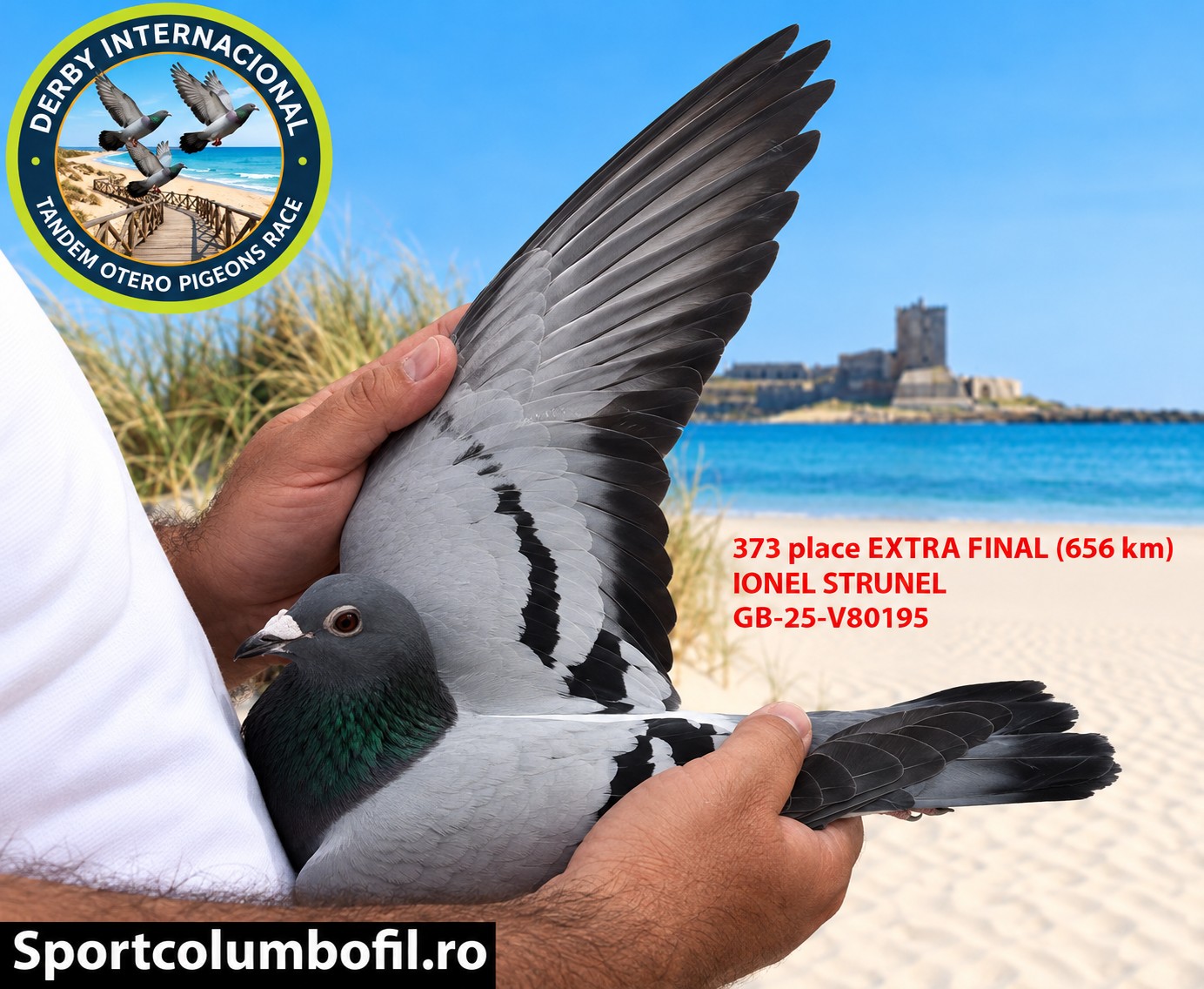 GB-25-V80195 - IONEL STRUNEL - DERBY DE CHIPIONA