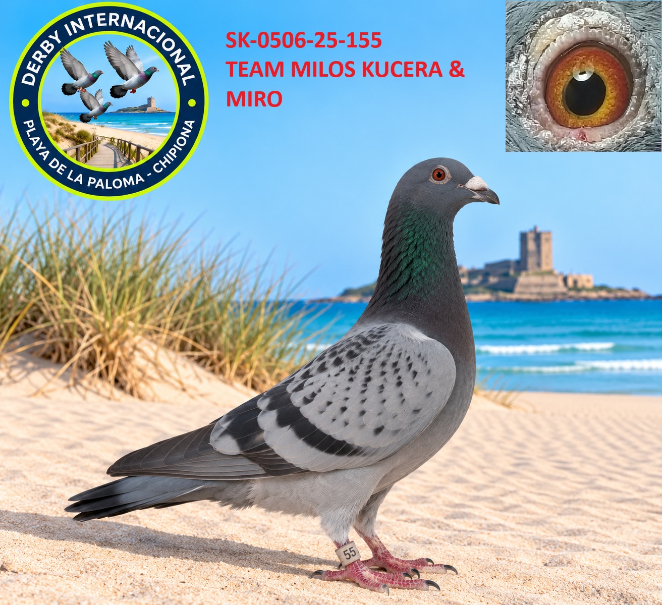 SK-0506-25-155 - TEAM MILOS KUCERA & MIRO -DERBY DE CHIPIONA