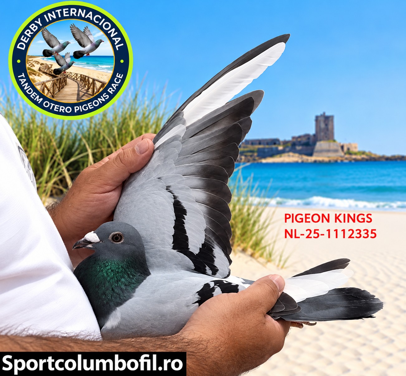 NL-25-1112335- PIGEON KINGS- DERBY DE CHIPIONA